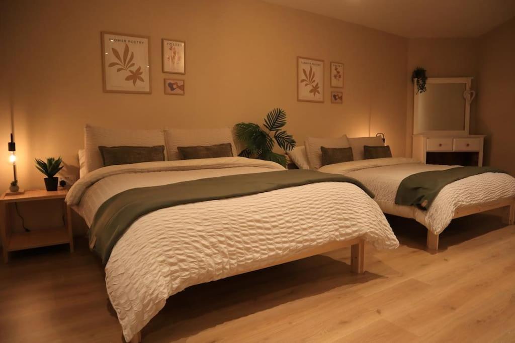 Modern Studio Apartment In Cashel Cashel  Exterior foto